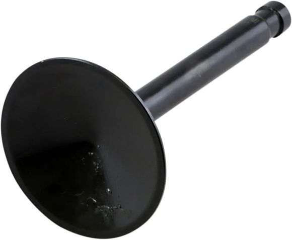 Kibble White Black Diamond Intake ValveRef: Kibw00236A / Ds198971