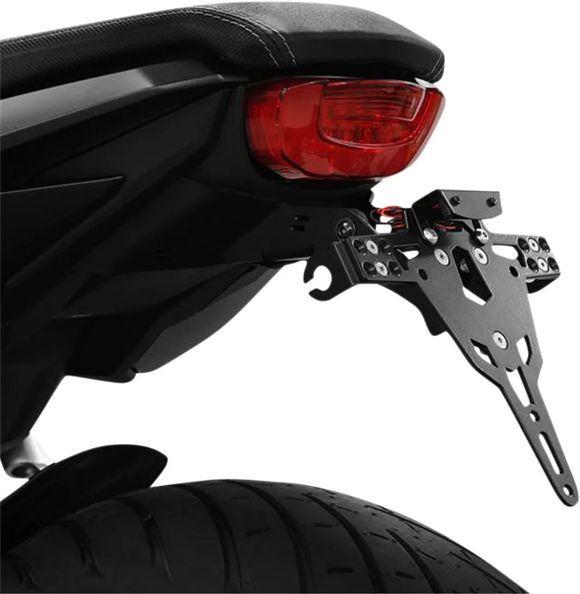 Zieger Rear Light License Plate MountRef: Zie00058A / 20301987
