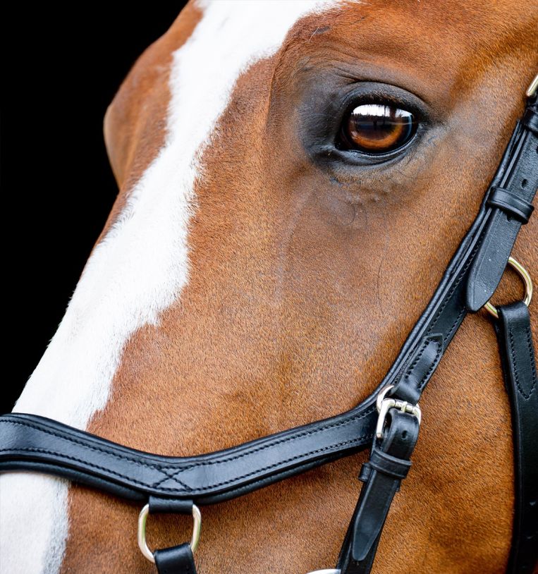 Horseware Micklem® 2 Competition Bridle