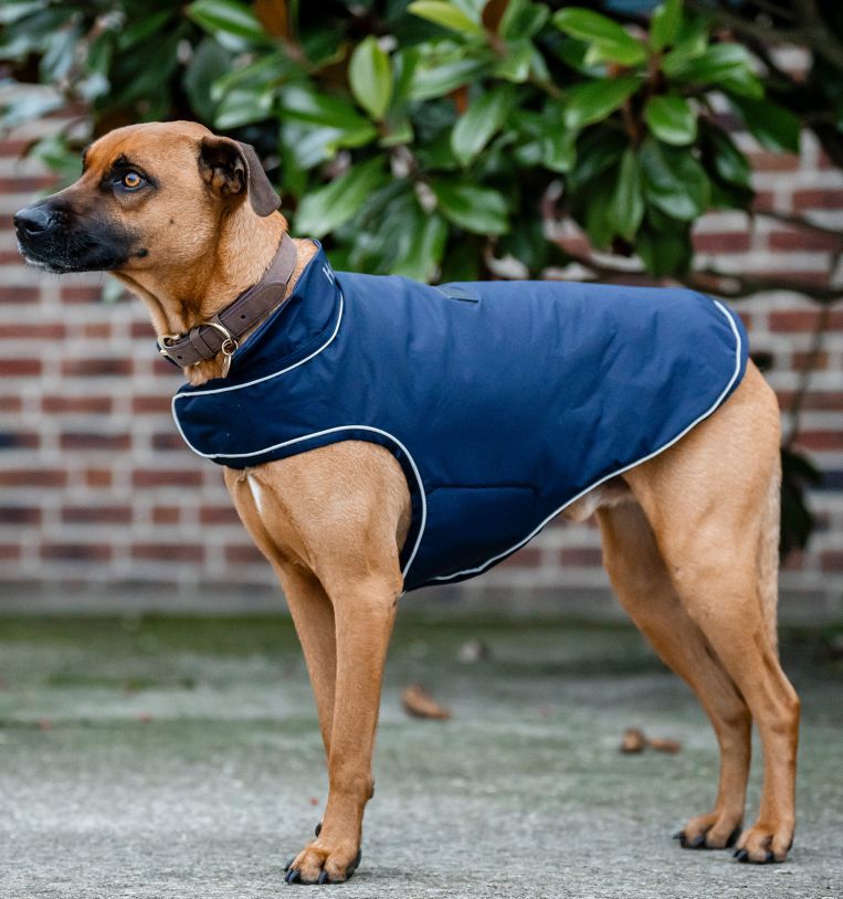 Horseware® Signature Dog Rain Coat 100g