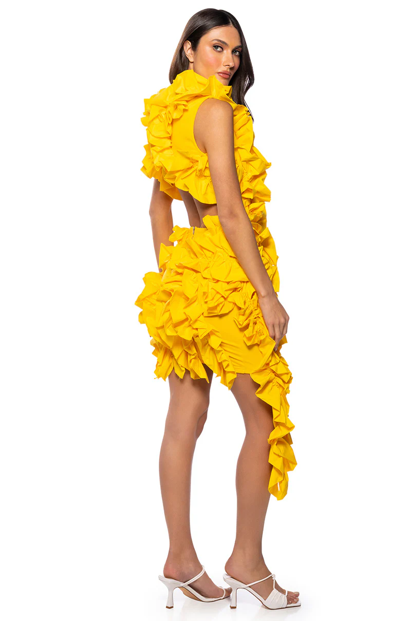 Kelsey Ruffle Open Back Mini Dress