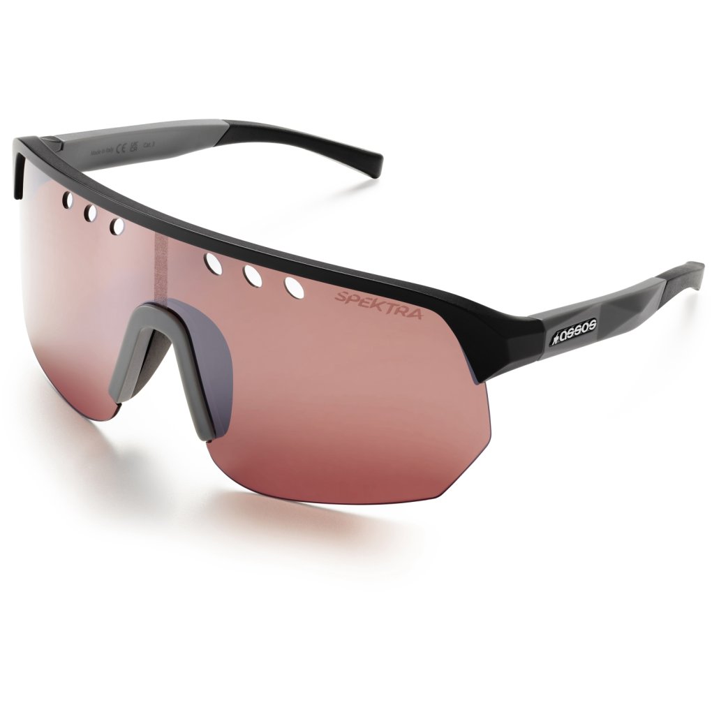 Assos DONZI Eyewear - chrome