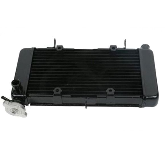 Radiateur Brazoline A EAU ADAPTABLERef : 56012