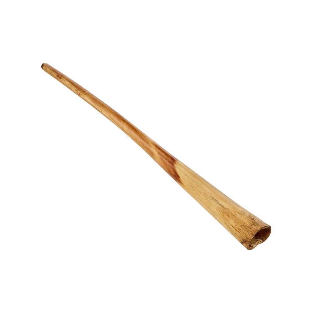 Thomann Didgeridoo Eucaly. Proline C# – Thomann Ireland