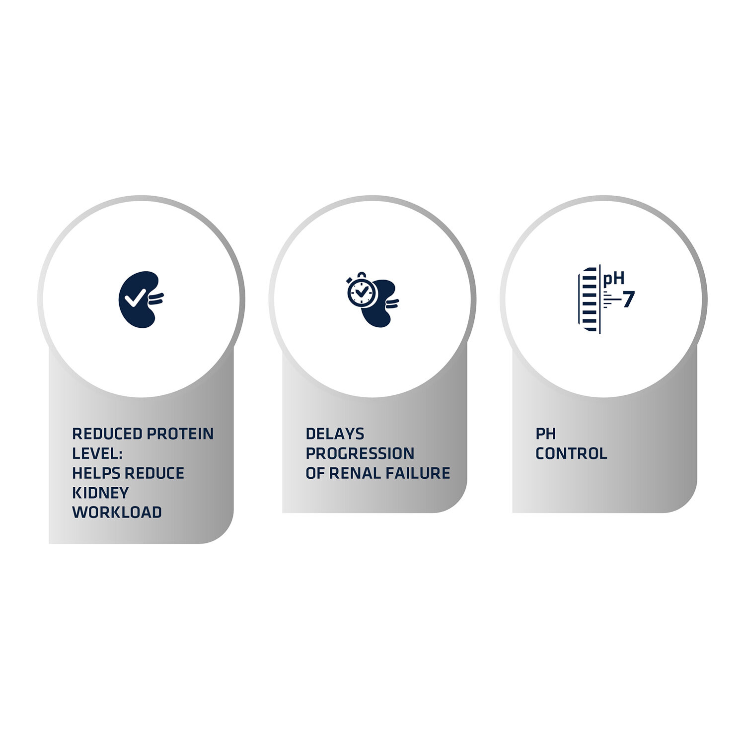 Affinity Advance Veterinary Diets Renal Cat - 1.5 kg