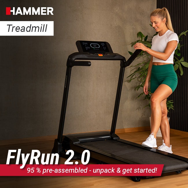 Treadmill FlyRun 2.0