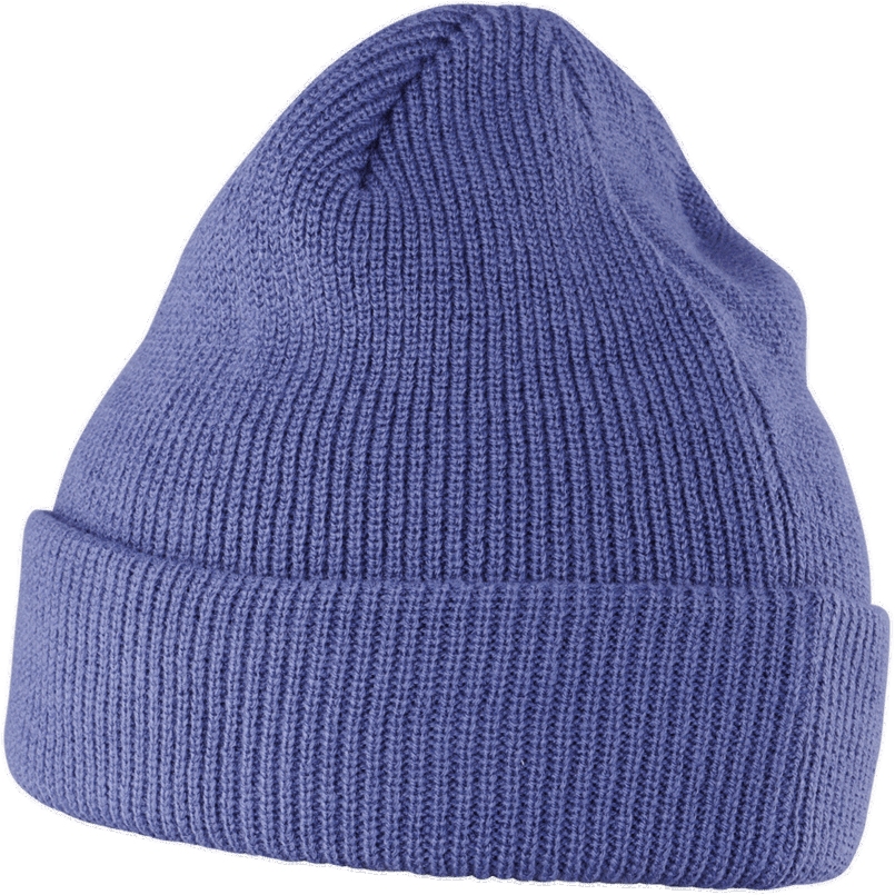 ION Ionic Beanie - Deep Water