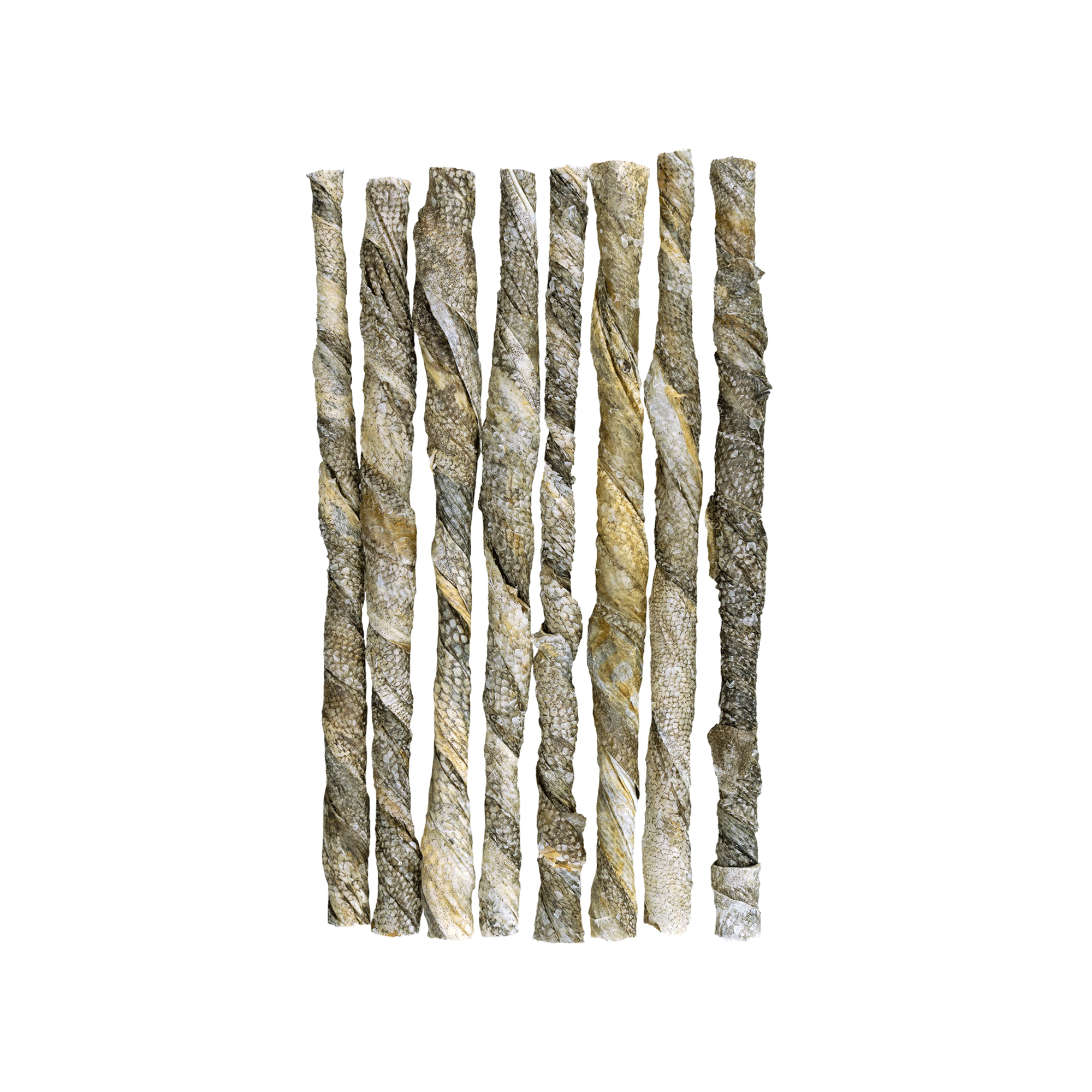 Braaaf Salmon Roll Twister Fish Snack - 12 cm - 70g