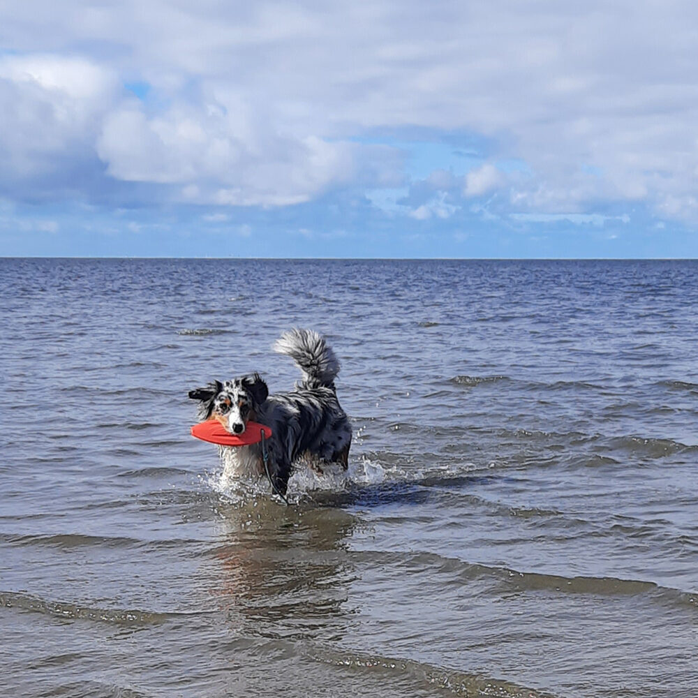Nobby TPR Lifeboard with Rope