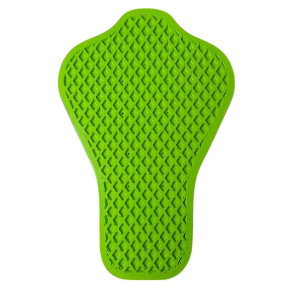 Dorsal pmj level 1 - greenRef: PMJ0028