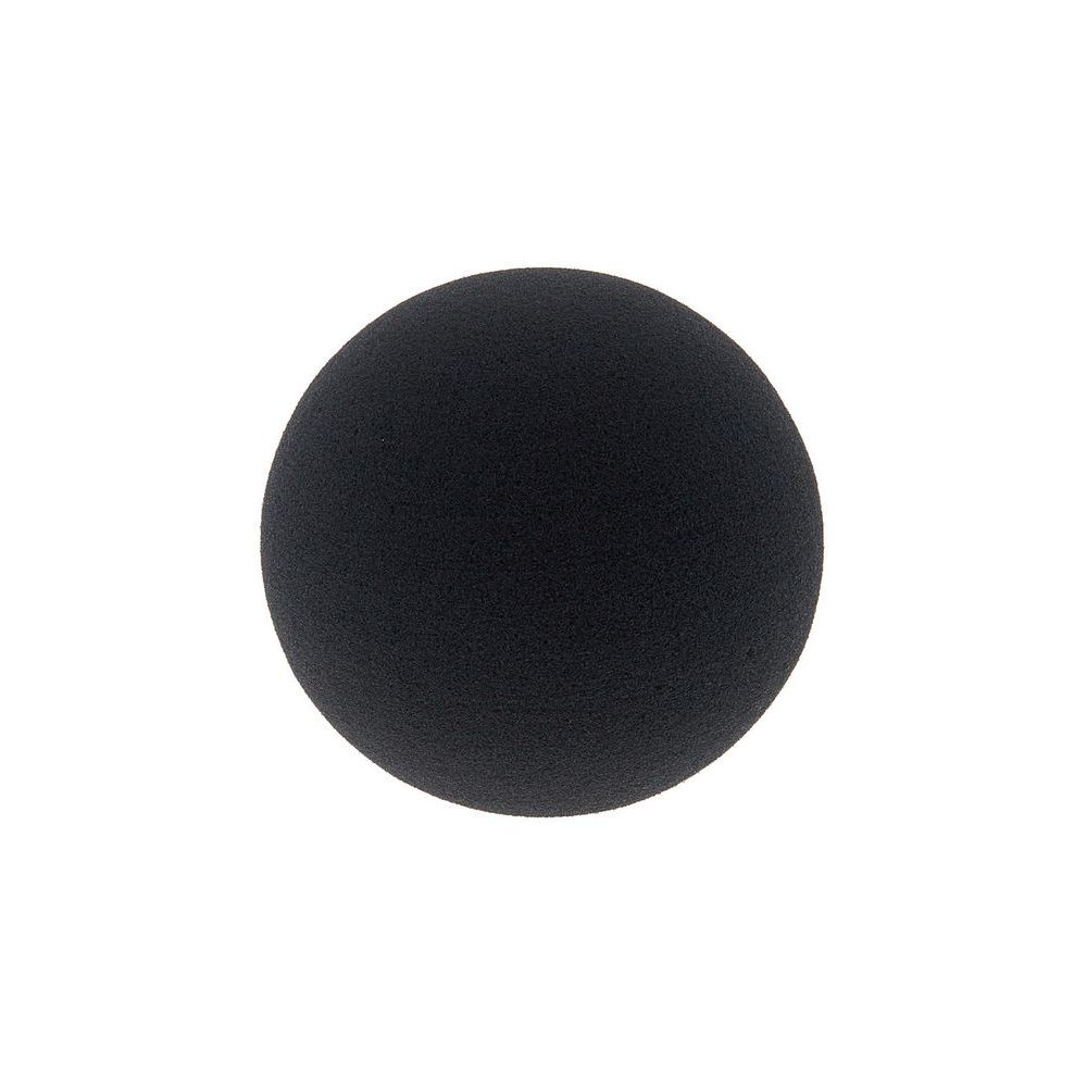 Schoeps W5 – Thomann Ireland