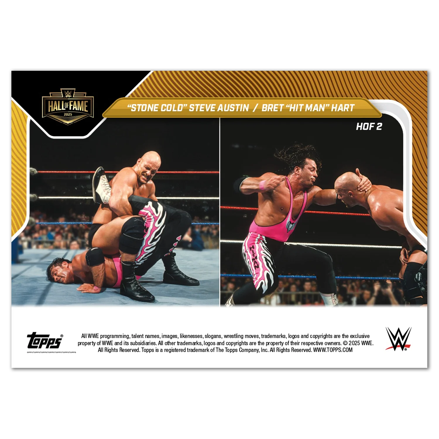Stone Cold Steve Austin/Bret 