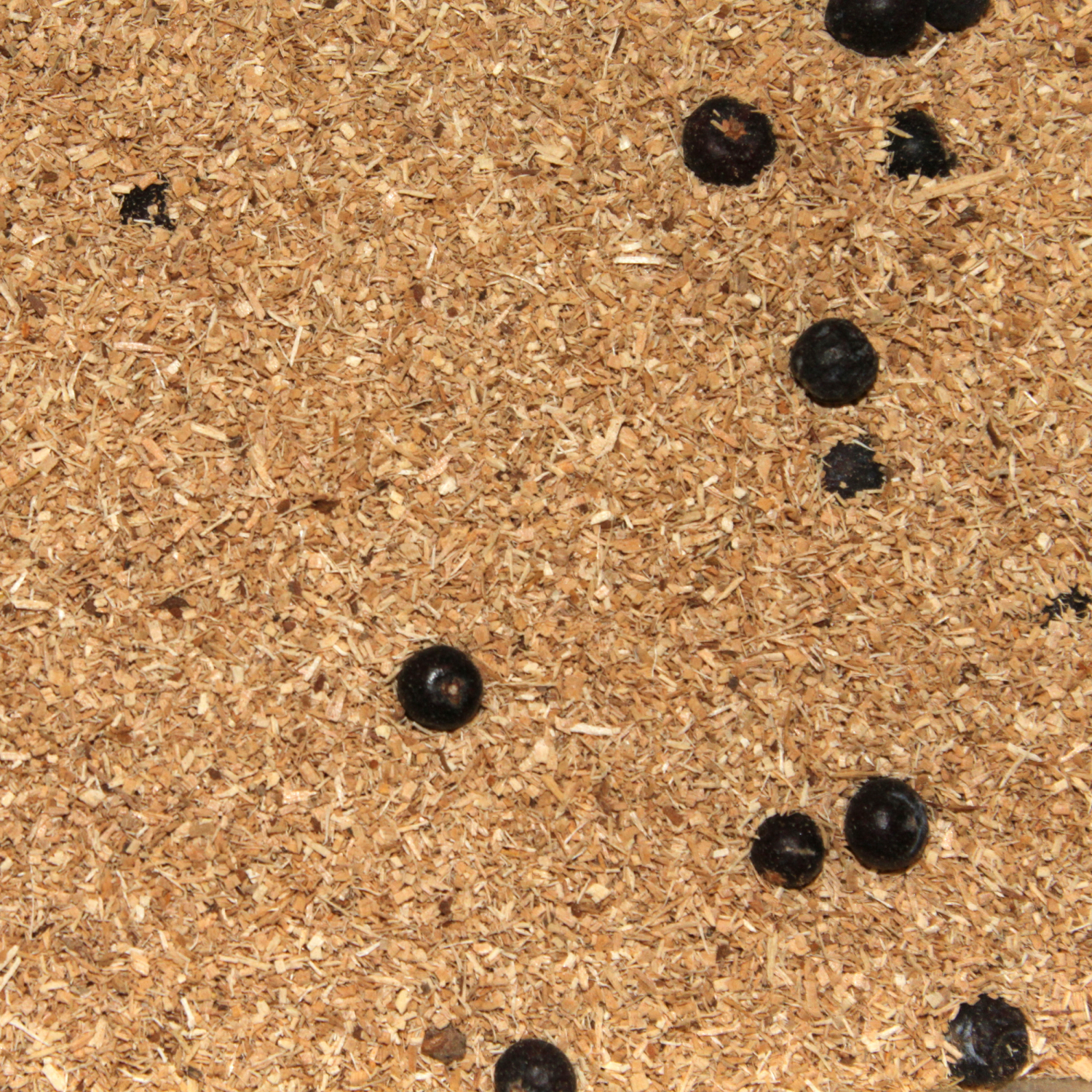 FTM Smoking flour (Beech with juniper)