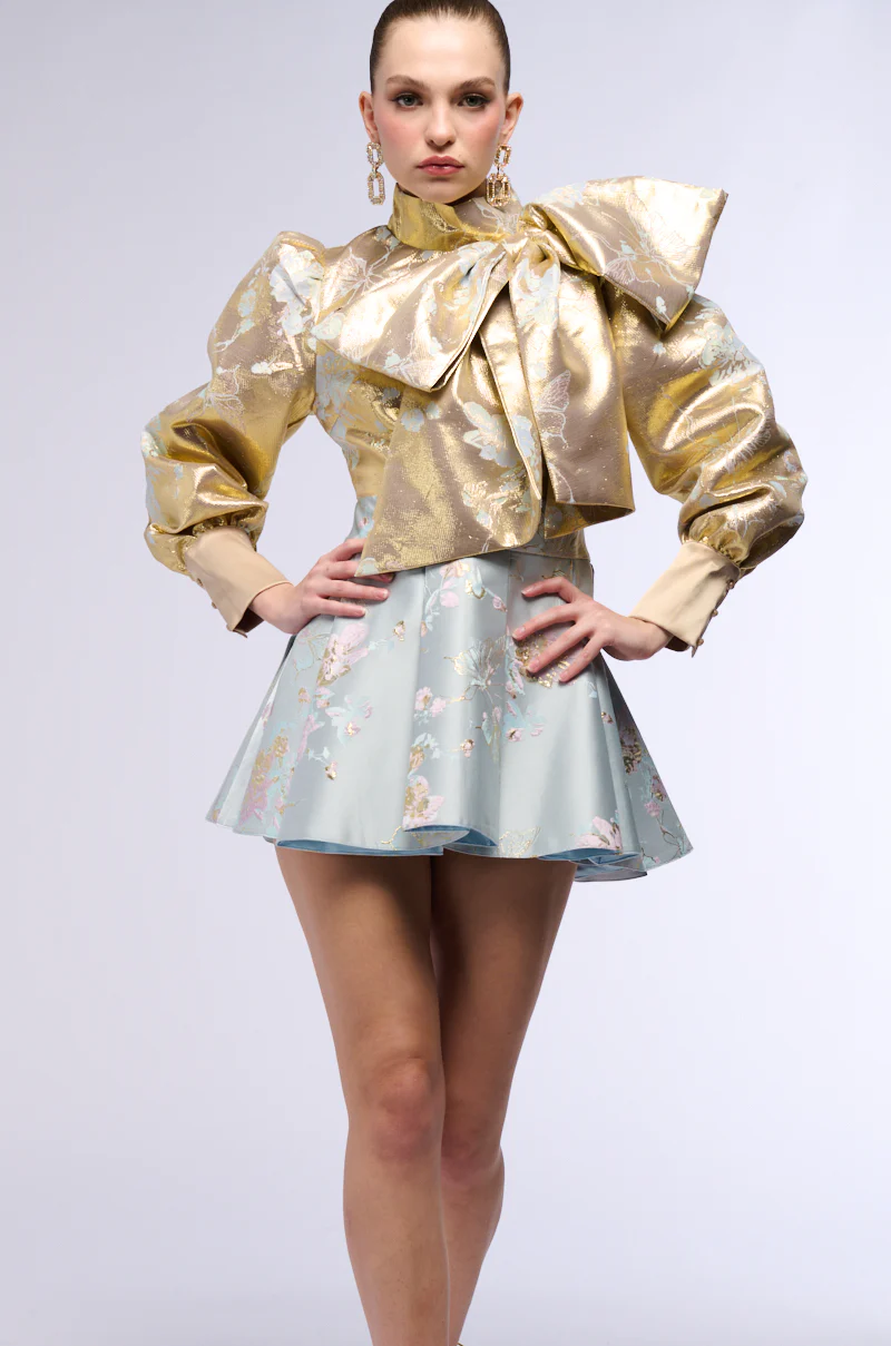 Renaissance Two Toned Brocade Metallic Mini Dress