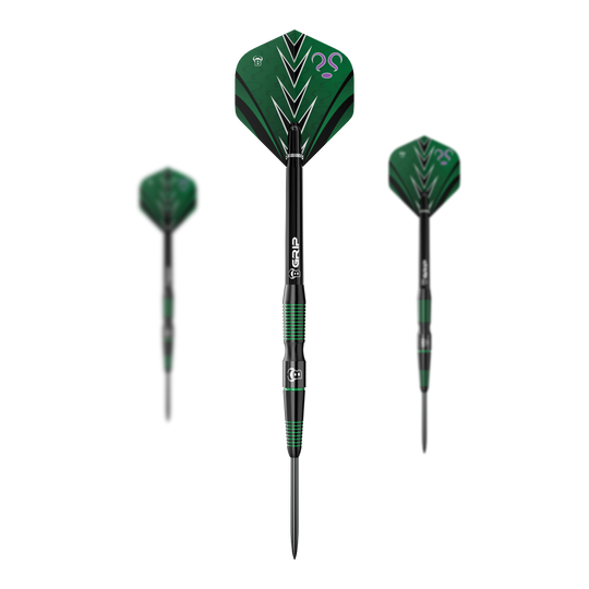 Bulls Brian Raman G2 steel darts