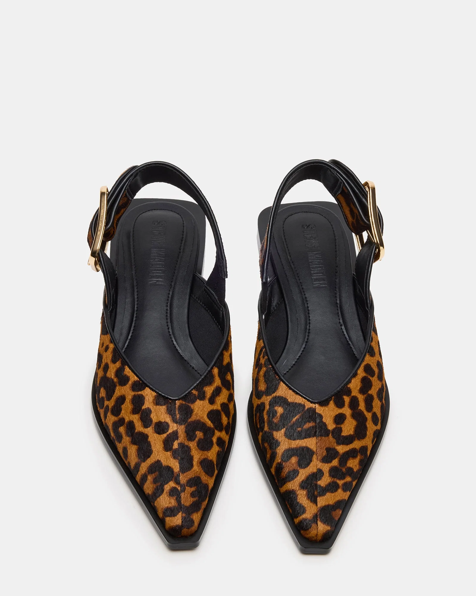 Shay Leopard