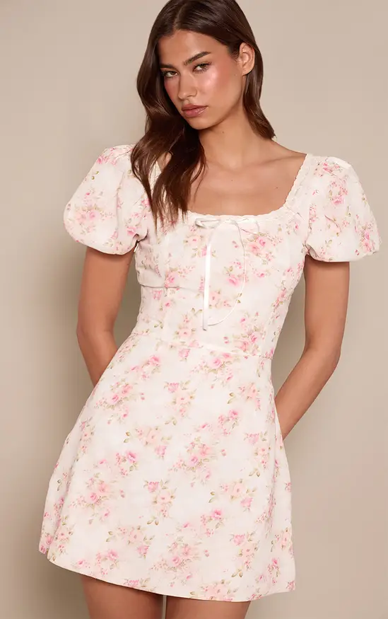 Pink Ditsy Floral Printed Chiffon Skater Mini Dress