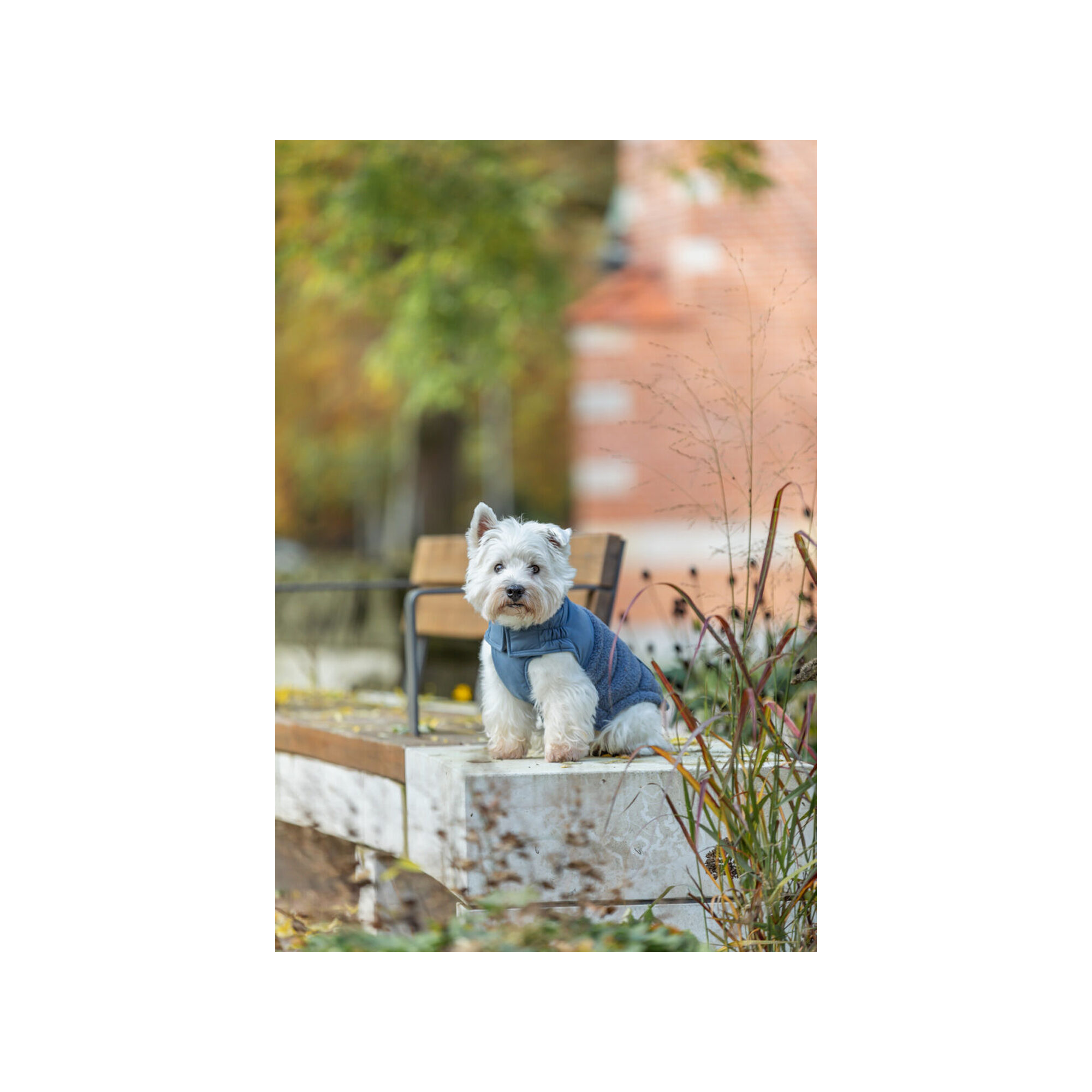 Trixie Winter Coat Ajou - Blue - XXS - 18 cm