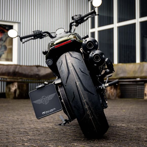 Heinz Bikes License Plate MountHARLEY DAVIDSON 1250 SPORTSTER 1250 S - 2021 - 2024Ref: HEIZ00271A / 20302254