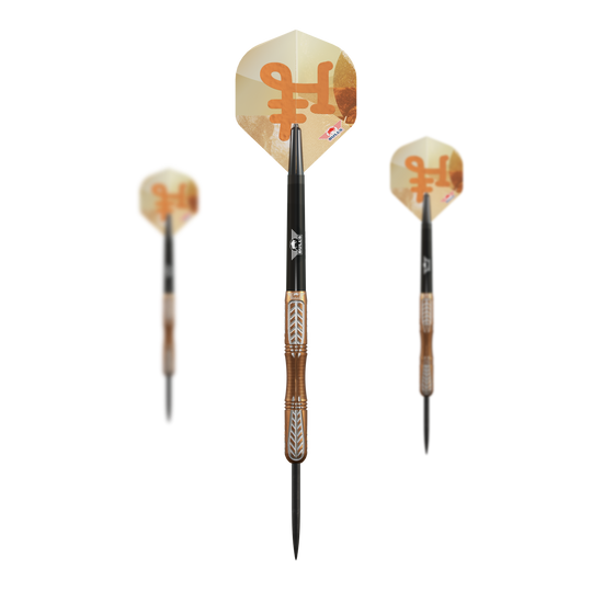 Bulls NL Bronzo True Steel Darts - 23g