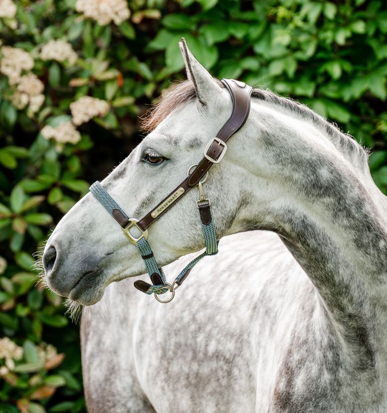 Horseware® Signature Braided Headcollar