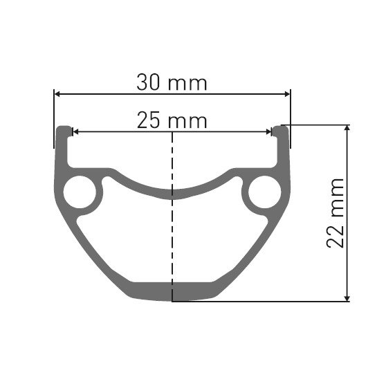 DT Swiss U 623 - 29