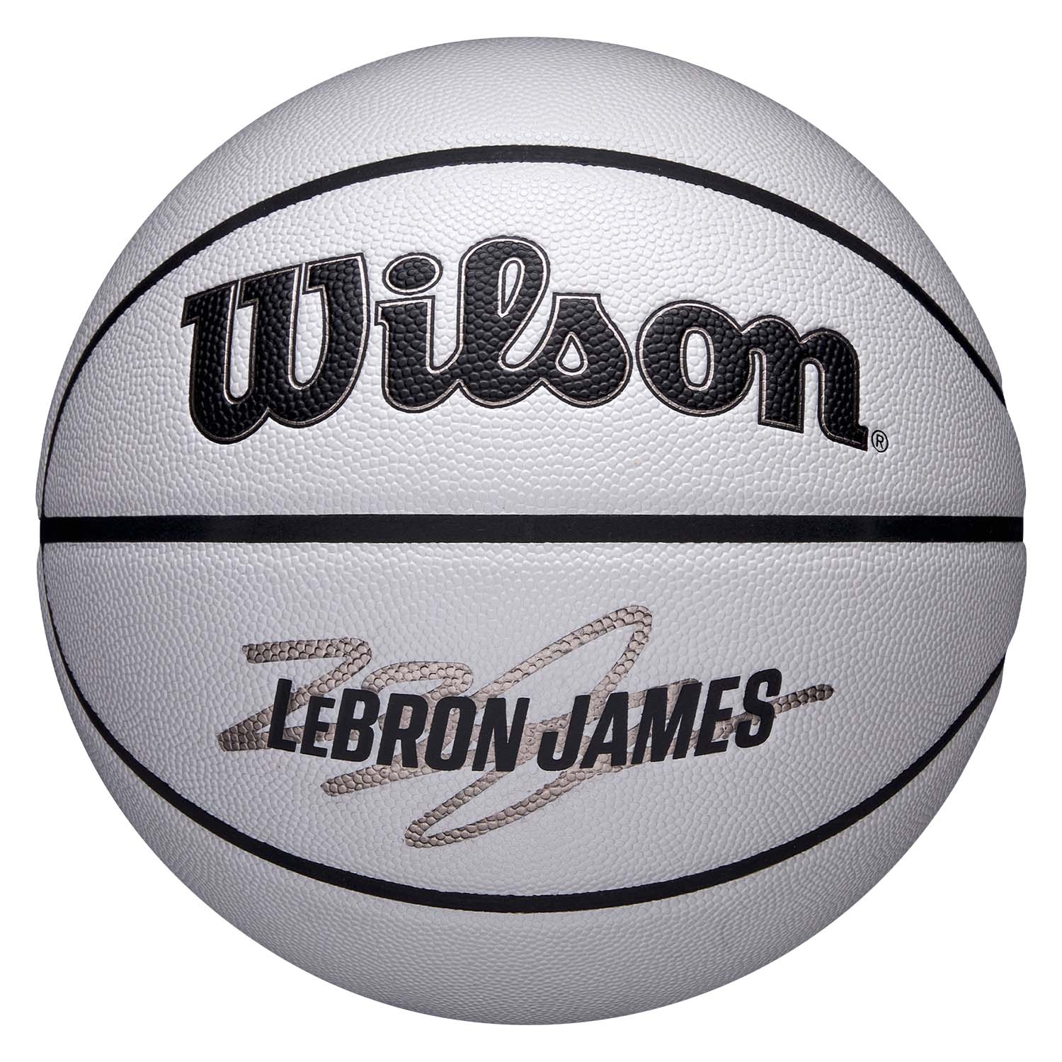 LeBron James UV Player Icon NBA Basketball (Size 7)