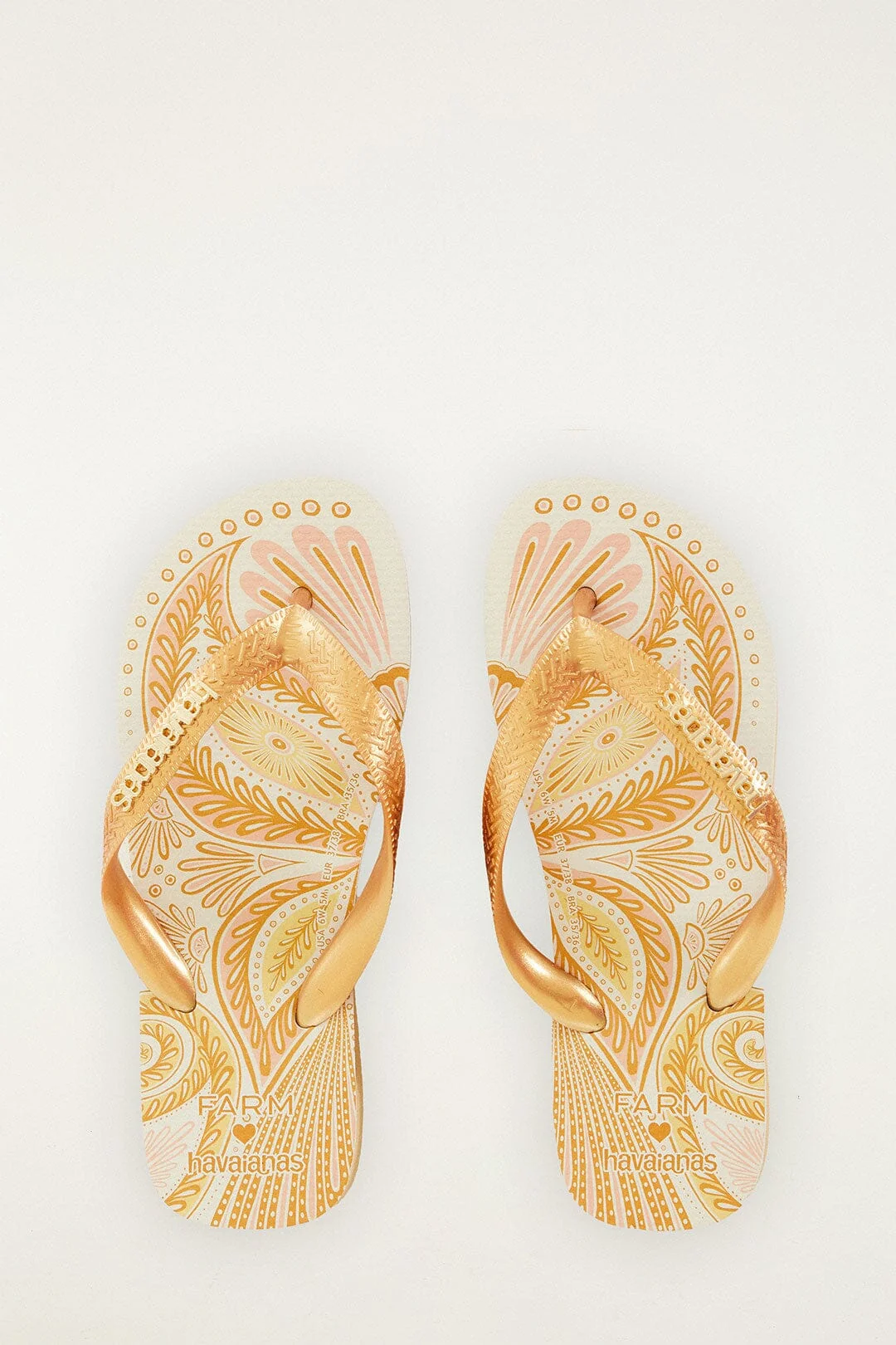 Papillon Havaianas