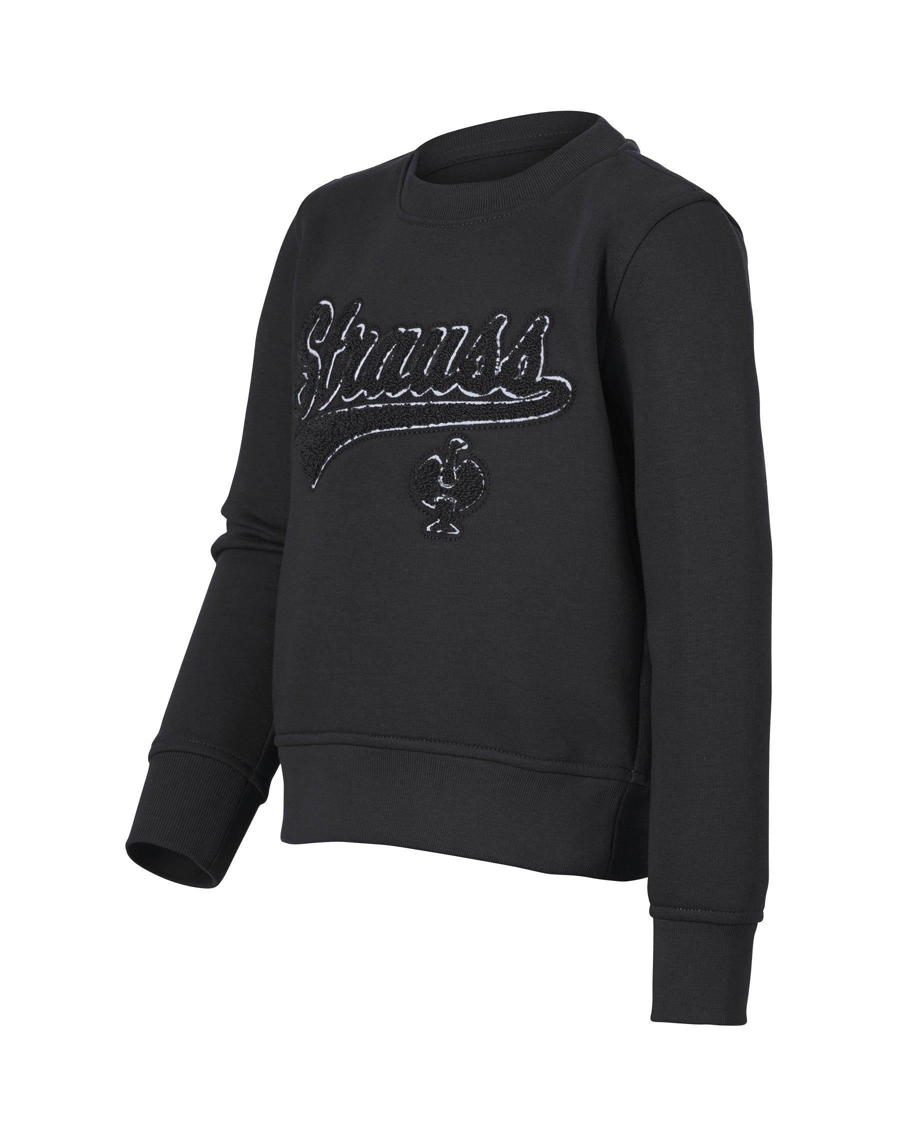 Kids Artwork Crew Neck Sweatshirt e.s.e:pic