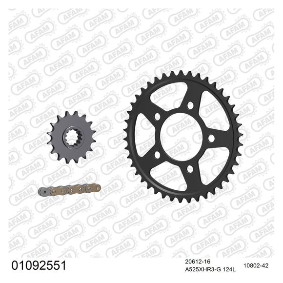 AFAM 520 Steel Premium Chain KitRef: 01092551 / KIT101581