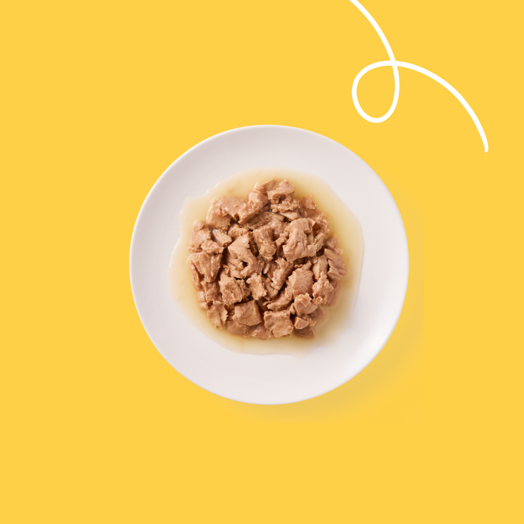 Yarrah Bio Cat Pouch - Chicken in Gravy - 14 x 85 g