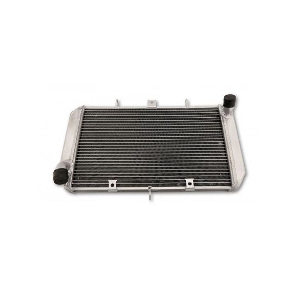 Radiateur Brazoline ADAPTABLERef : 56010