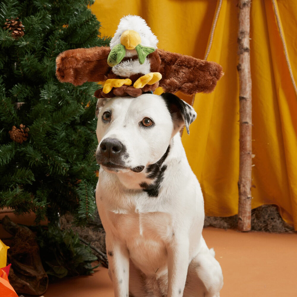 Bark Majestic Marty Eagle with Fish