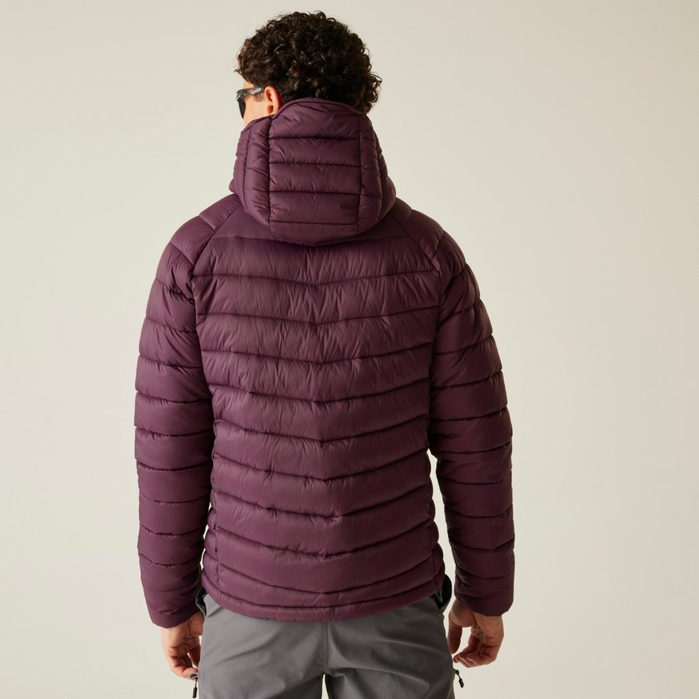 Dare 2b Torrek Mountain Baffled Jacket Men - 909 Fig