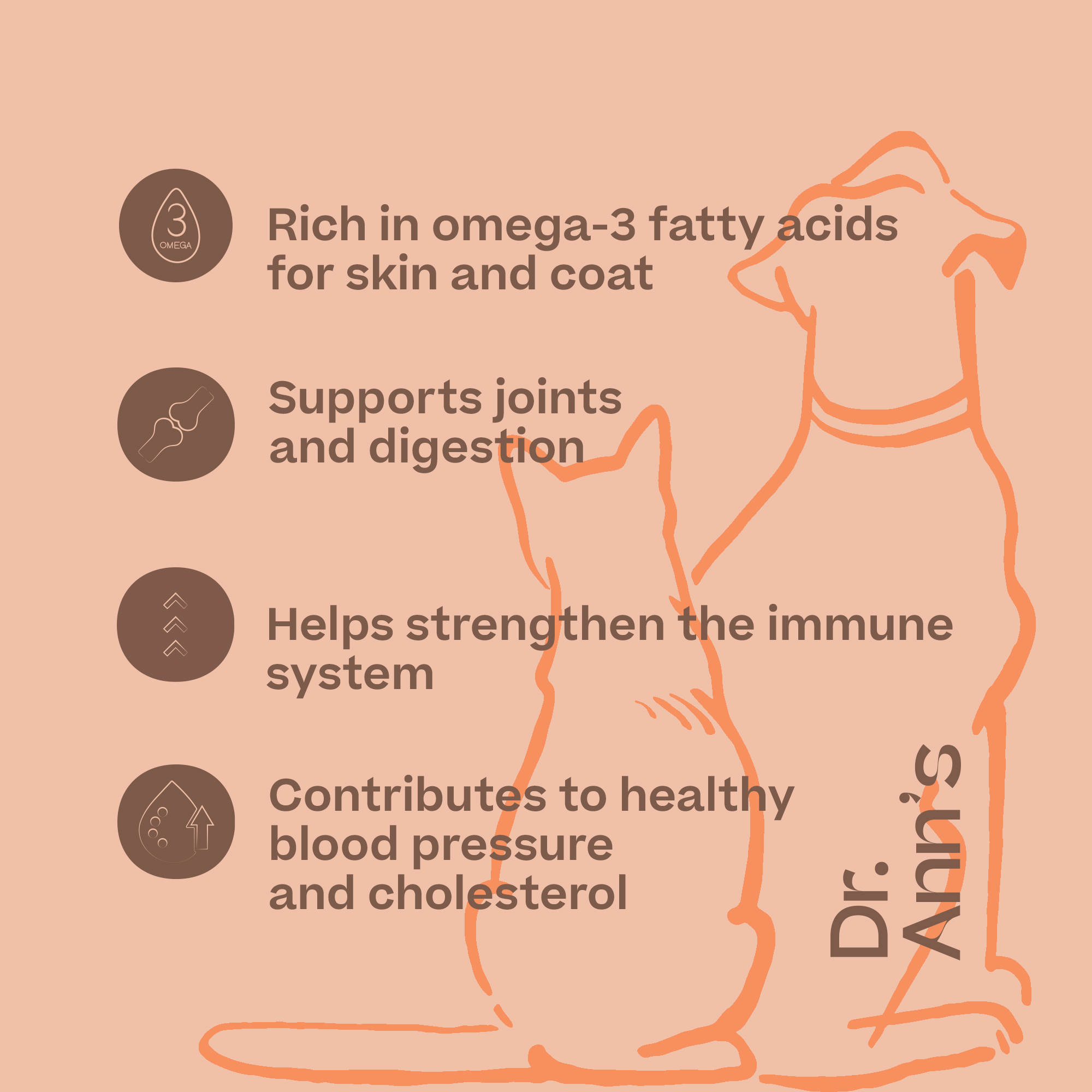 Dr. Ann's Salmon Oil - 250 ml
