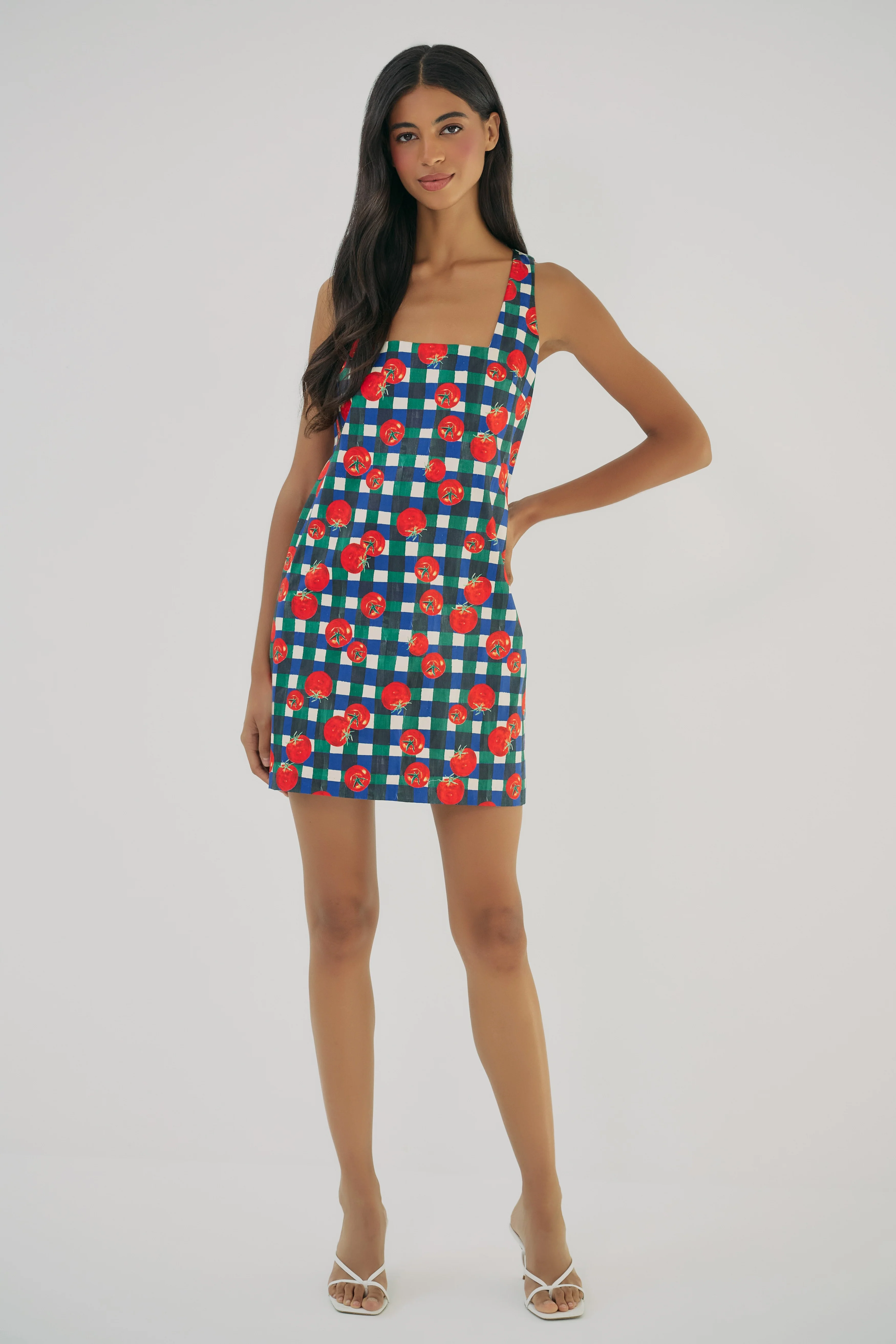 Sara Mini Dress