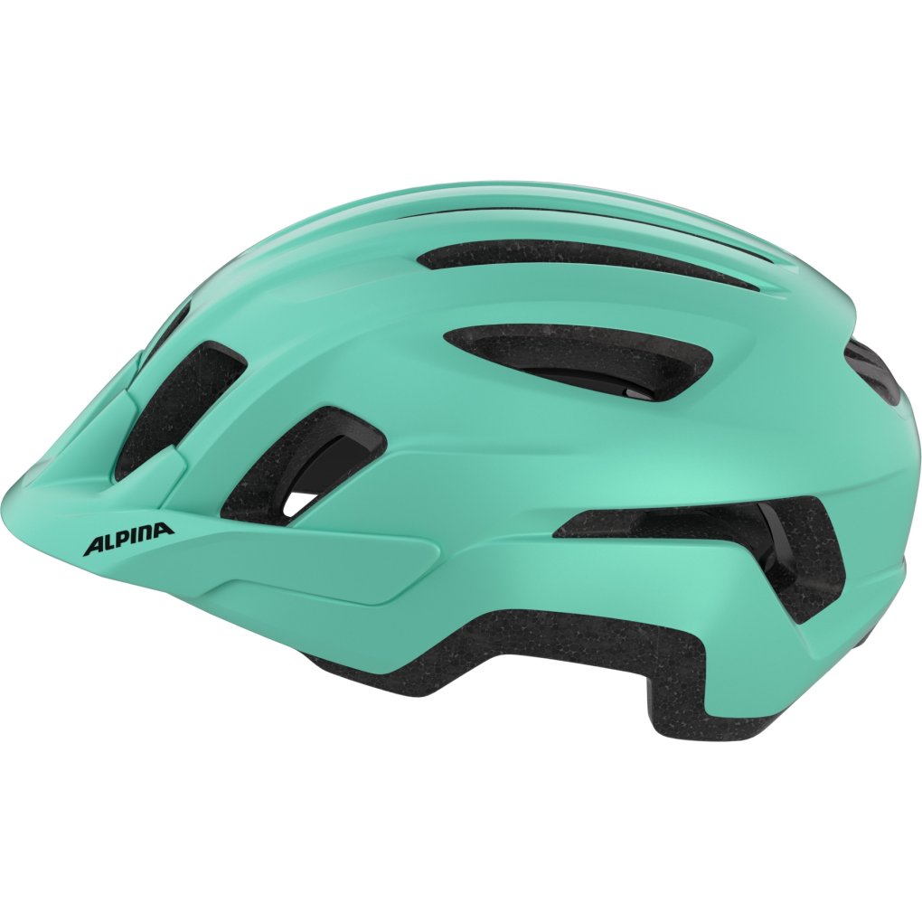 Alpina Paranus Helmet - turquoise matt