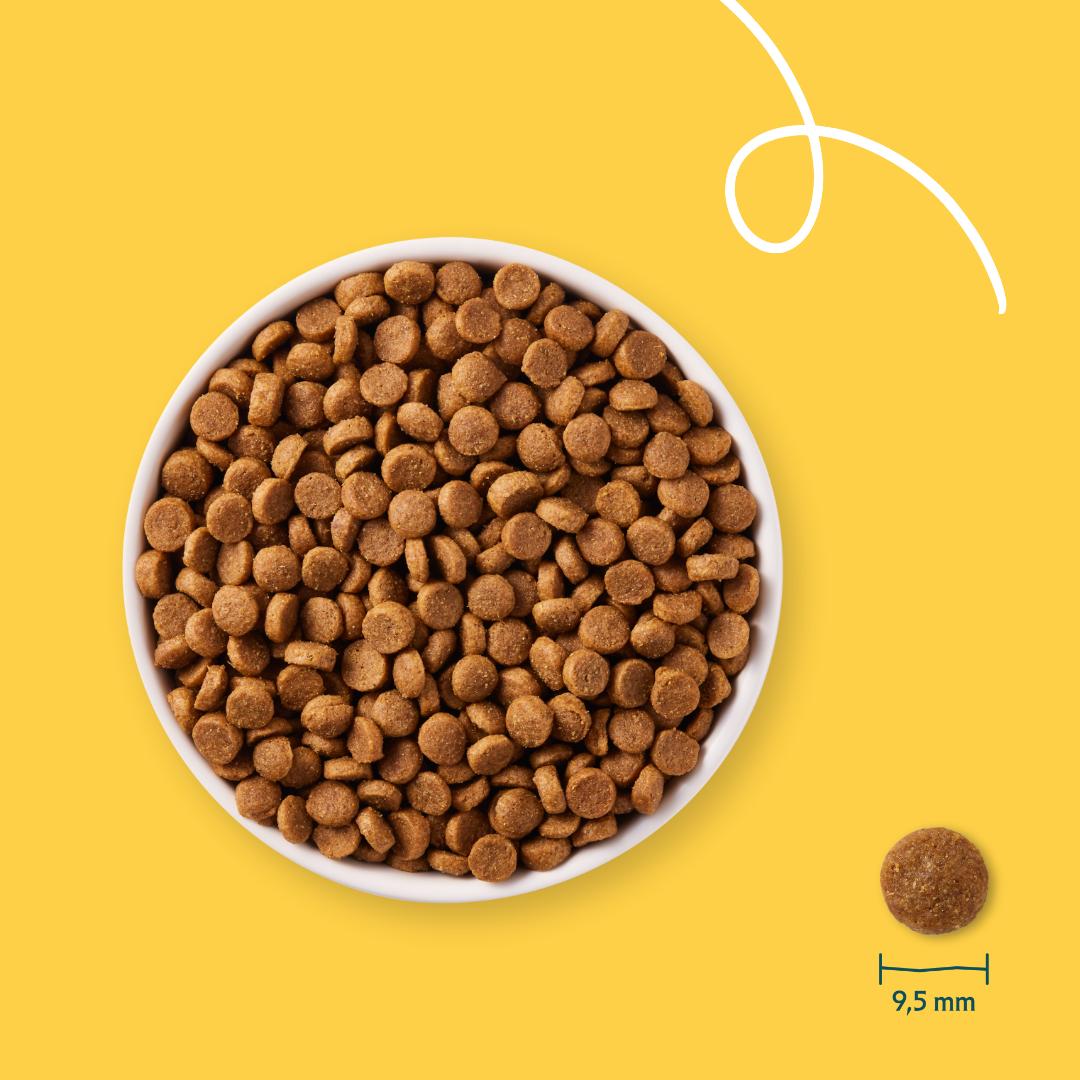 Yarrah - Dry Dog Food for Puppies Bio - 2kg