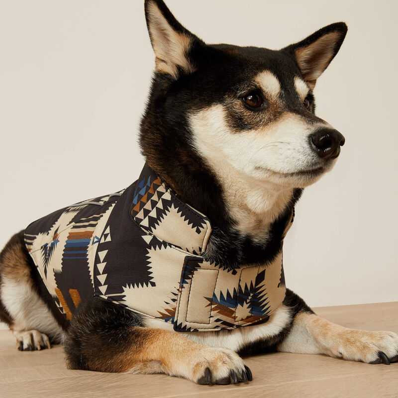 Team Softshell Dog Jacket