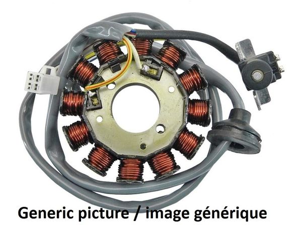 Tecnium ignition stator YAMAHA 1000 YZF-R1 (RN09) - 2002 - 2003Ref: TE00007A / 1080906