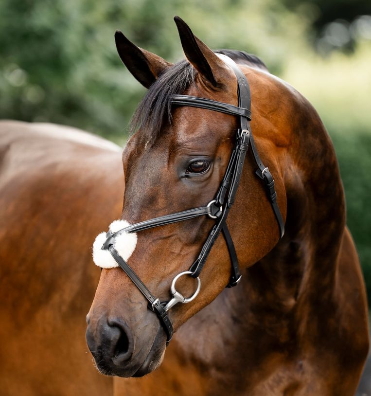 Horseware® Figure 8 Grackle Bridle