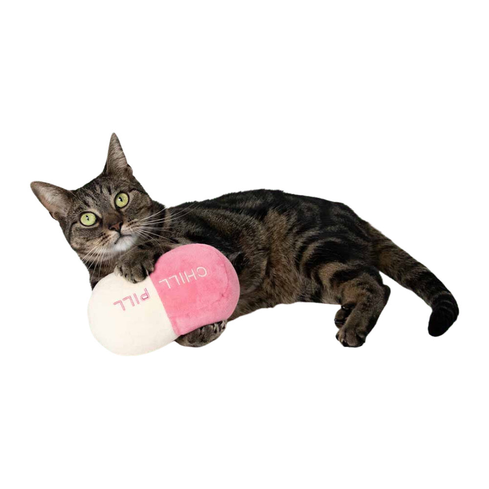 Coockoo Chill Pill Kicking Cushion