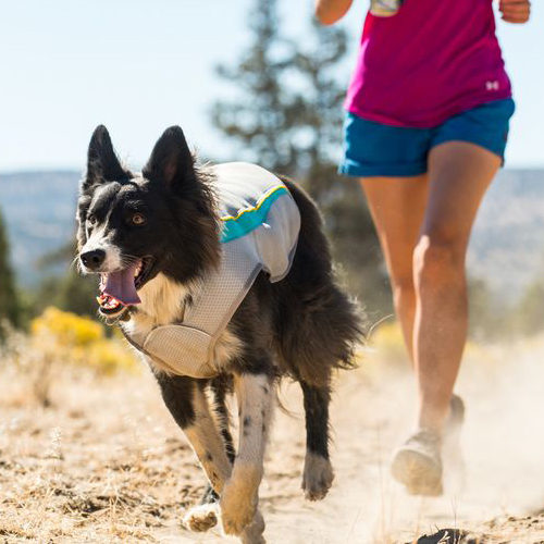 Ruffwear Swamp Cooler - Graphite Gray - L
