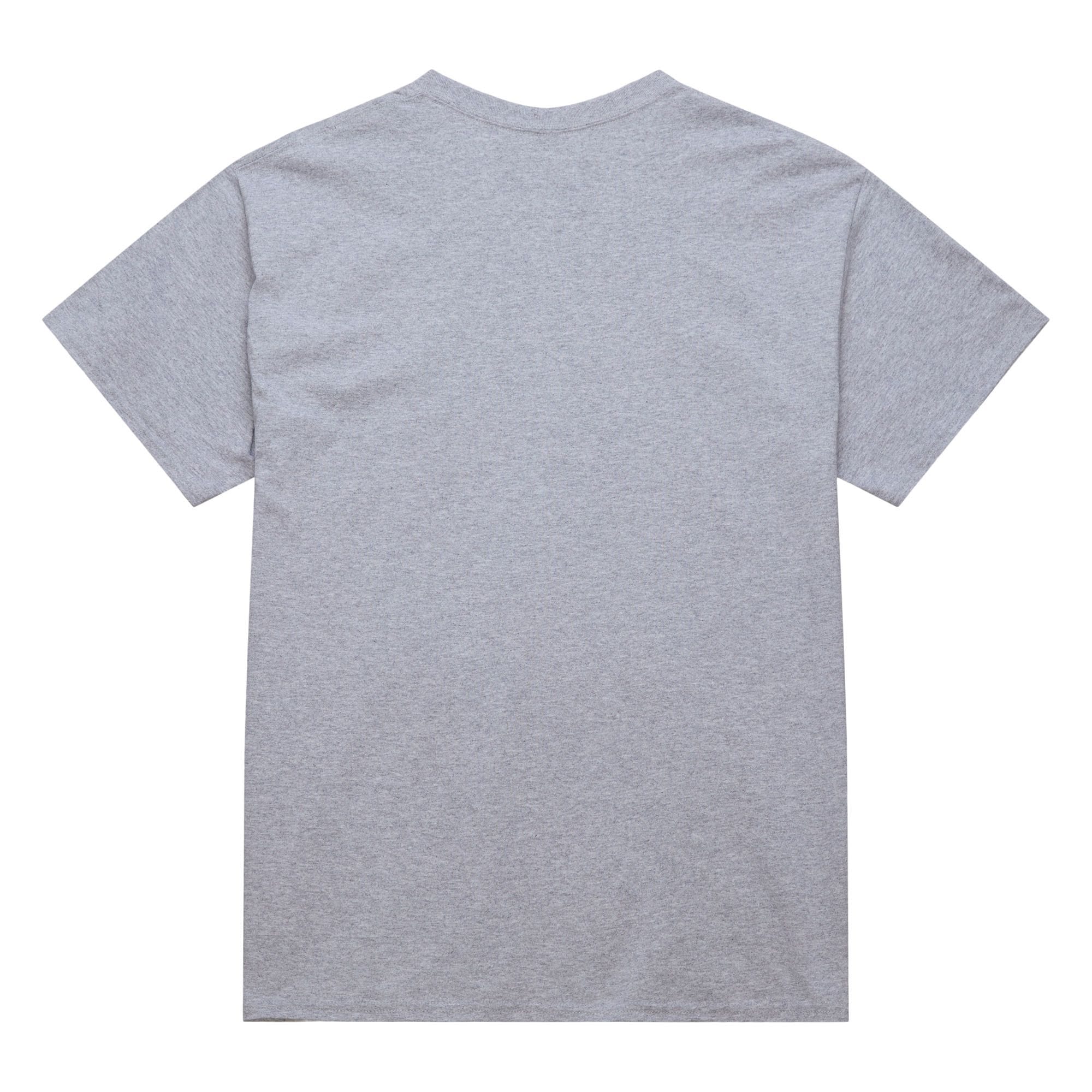 Chicago Blackhawks Stateside Pastel Mitchell & Ness NHL T-Shirt Gray