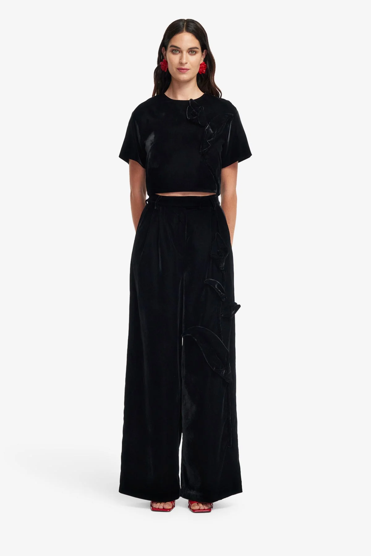 Elisha Velvet Wide Leg Pants - Ebony