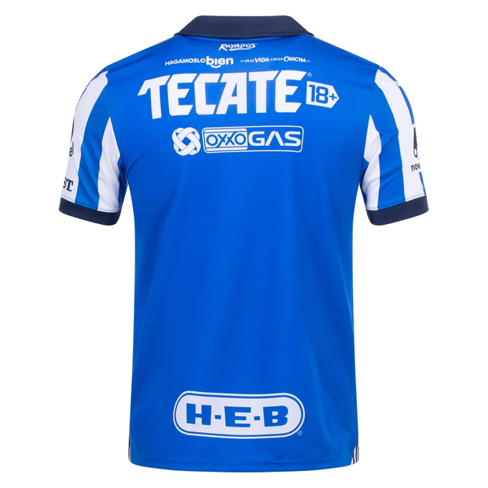 Monterrey Home Jersey 23/24 ( Team Royal)