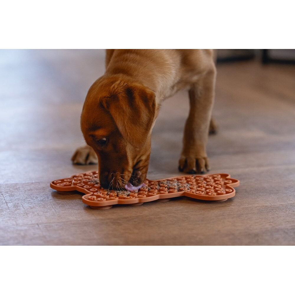 Beeztees Puppy Lick Mat Molly - Terracotta