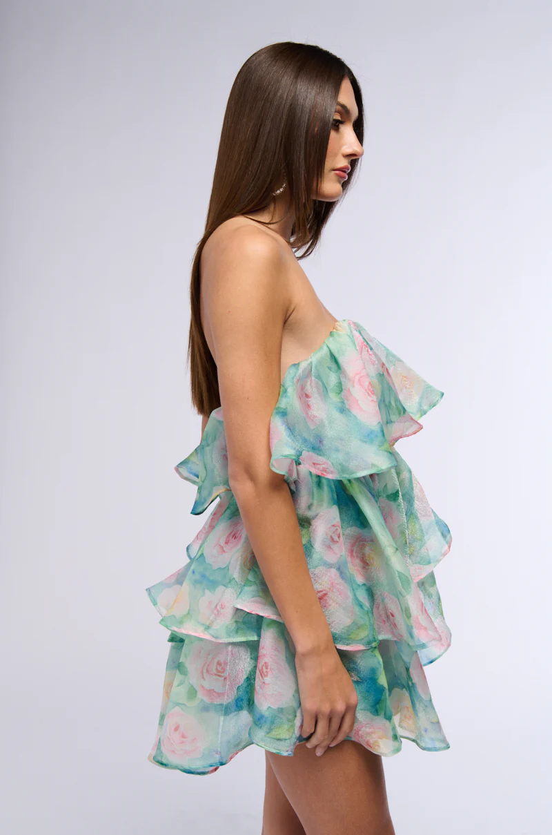Floral Delight Printed Organza Mini Dress