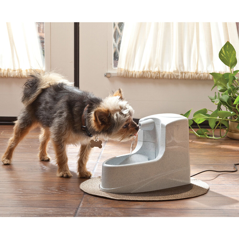 Petsafe Drinkwell Mini Drinking Fountain - 1.2 L - 32 x 29 x 14 cm