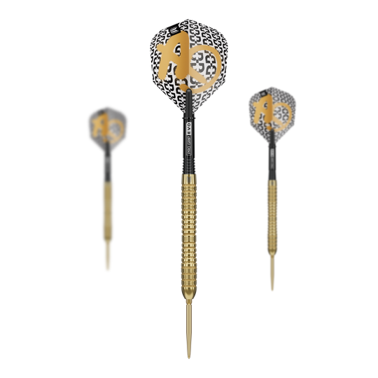 Target Bolide Envy 04 Swiss Point steel darts